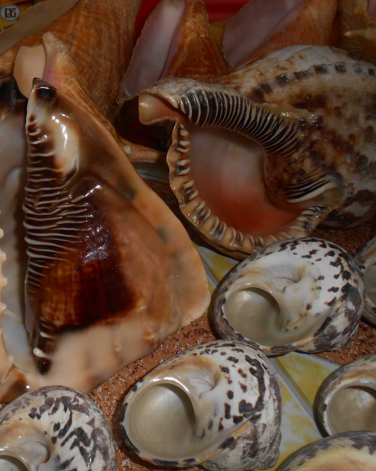 atrakcje karnawały festiwale na jamajce